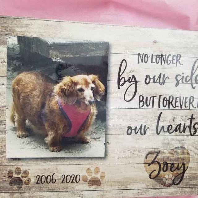 THANKS FOR EVERYTHING - Personalized Pet Memorial - Premium Plaque, Canvas