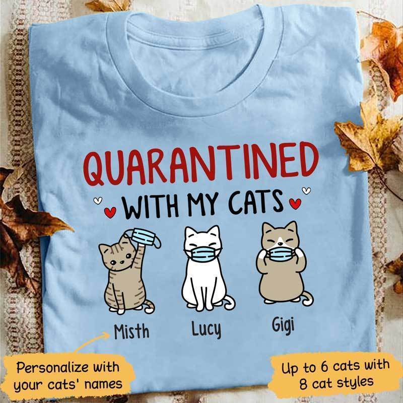 Quarantined With My Cats